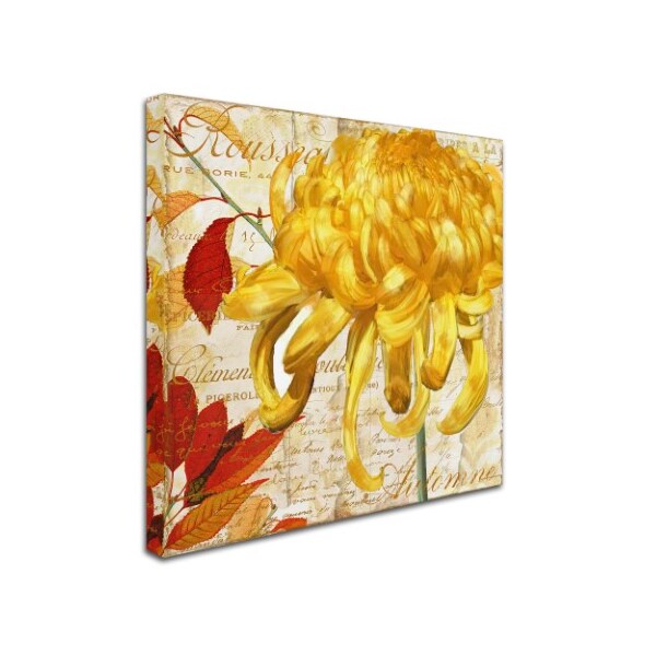 Color Bakery 'Chrysanthemums II' Canvas Art,14x14